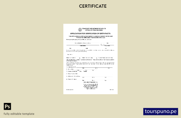 Plantilla de certificado de nacimiento del Departamento de Salud de Tennessee li